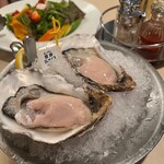 Oyster Bar ジャックポット - 