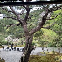 京 翠嵐 - 