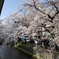 京 翠嵐 - 