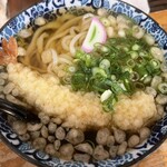 手打ちうどん やまびこ - 天ぷらうどん600円