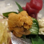 よし春 - おまかせお造り盛りあわせの一部