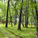 Kashikura Seika - ◎旧轻井泽的树木间凉爽宜人！