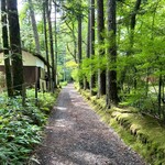 Kashikura Seika - ◎森林小径