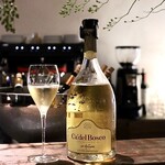 ファイ - 泡からスタート♪