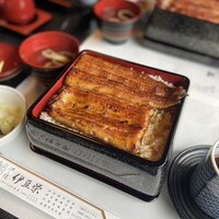 鰻割烹 伊豆栄 本店 - 