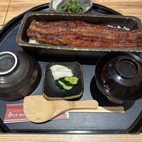 うなぎ四代目菊川 ミッドランドスクエア 名古屋本店 - 初めて頂きました
