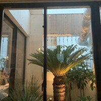 CINA New Modern Chinese - 