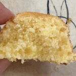 島ごころ SETODA - 