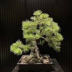 ザ・リッツ・カールトン京都 - 