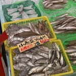 魚太郎 浜焼きバーベキュー  - 