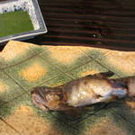 お料理 佐藤 - 鮎ha２匹、