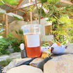 クラッチコーヒー タカマツ - ドリンク写真:和紅茶 500円