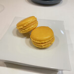 HELIOTROPE - 살구와 호지차 마카롱