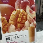 果汁工房 果琳 - ピーチマンゴーも気になりました