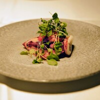 タケル クインディチ(LOQUAT) 西伊豆 - 