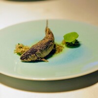 タケル クインディチ(LOQUAT) 西伊豆 - 