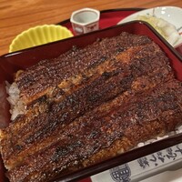 炭焼うな富士 白壁別邸 - 