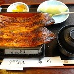 うなぎ割烹 康川 雄踏店