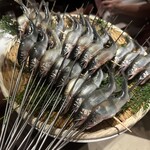 スガラボヴィー - 