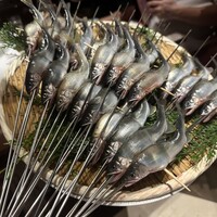 スガラボヴィー - 