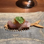 マジカメンテ - カルパッチョ（天然ヒラメ）