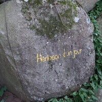 Hérisson d'un jour - 