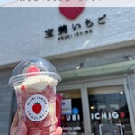 宝美いちご - かき苺&クリーム(ノーマルサイズ)
