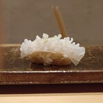 Sushi Matsuura - 槍烏賊