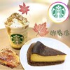 STARBUCKS COFFEE - 