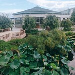 みずの森レストラン - 