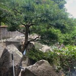 ろばたやき山ろく - 露天風呂♪