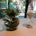 レスピラシオン - ハーブティー