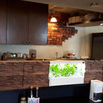 ステーキ・洋食のTANTO屋 - 店内の風景　2023.8