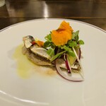 ファロ トラットリア - 