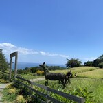 一夜城 ヨロイヅカ・ファーム - 絶景のロケーション①