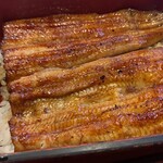 うなぎ 宮川 - 鰻重い　アップ