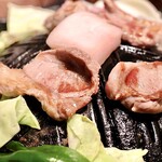 ヤマダモンゴル - ウマーベラス！！