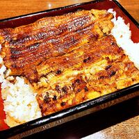 新宿 うなぎ菊川 - 