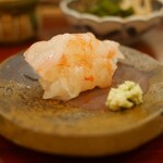 鮨 たかはし - 牡丹海老