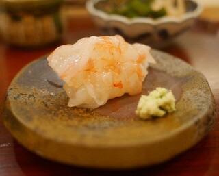 Sushi Takahashi - 牡丹海老
