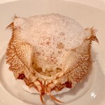 レストラン・モリエール - 毛蟹のリゾット