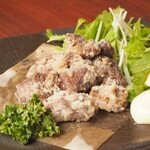 Kanzen Koshitsu Izakaya Onza - 