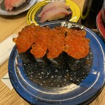 Sushi Kuine Xe - 