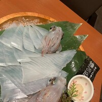 寅八商店 心斎橋店 - 