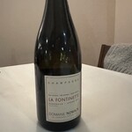 ドンナセルバティカ - 