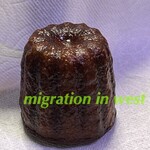 ビッグビーンズ - 