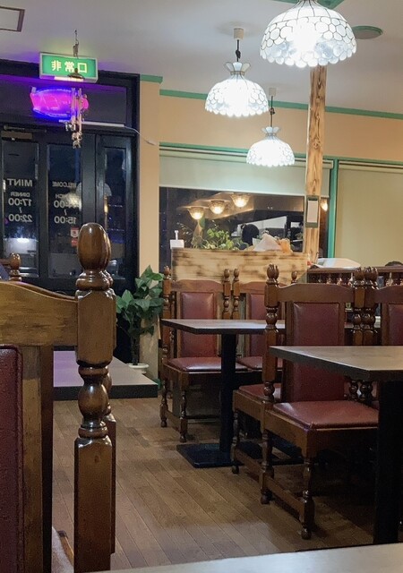 India Nepal Restaurant mint photo 5