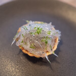 欧風食堂 カンペシーノ - 