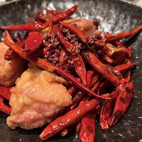 CINA New Modern Chinese - 