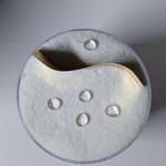 シャロン - サンクフリュイ：2023/08/14